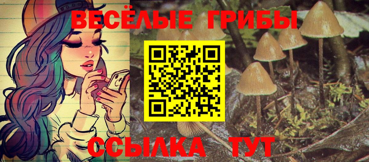 Галлюциногенные грибы Psilocybine cubensis Ростов-на-Дону