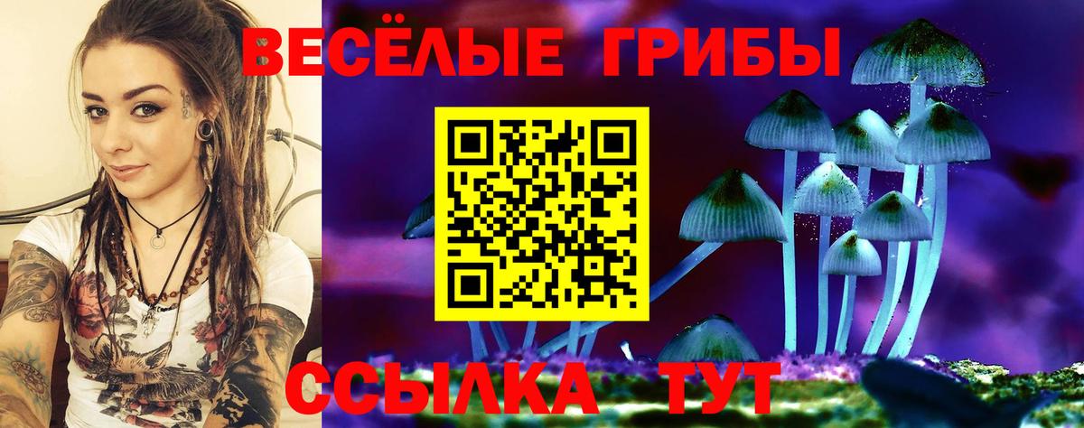 Ростов-на-Дону  Псилоцибиновые грибы GOLDEN TEACHER  Вход с VPN 